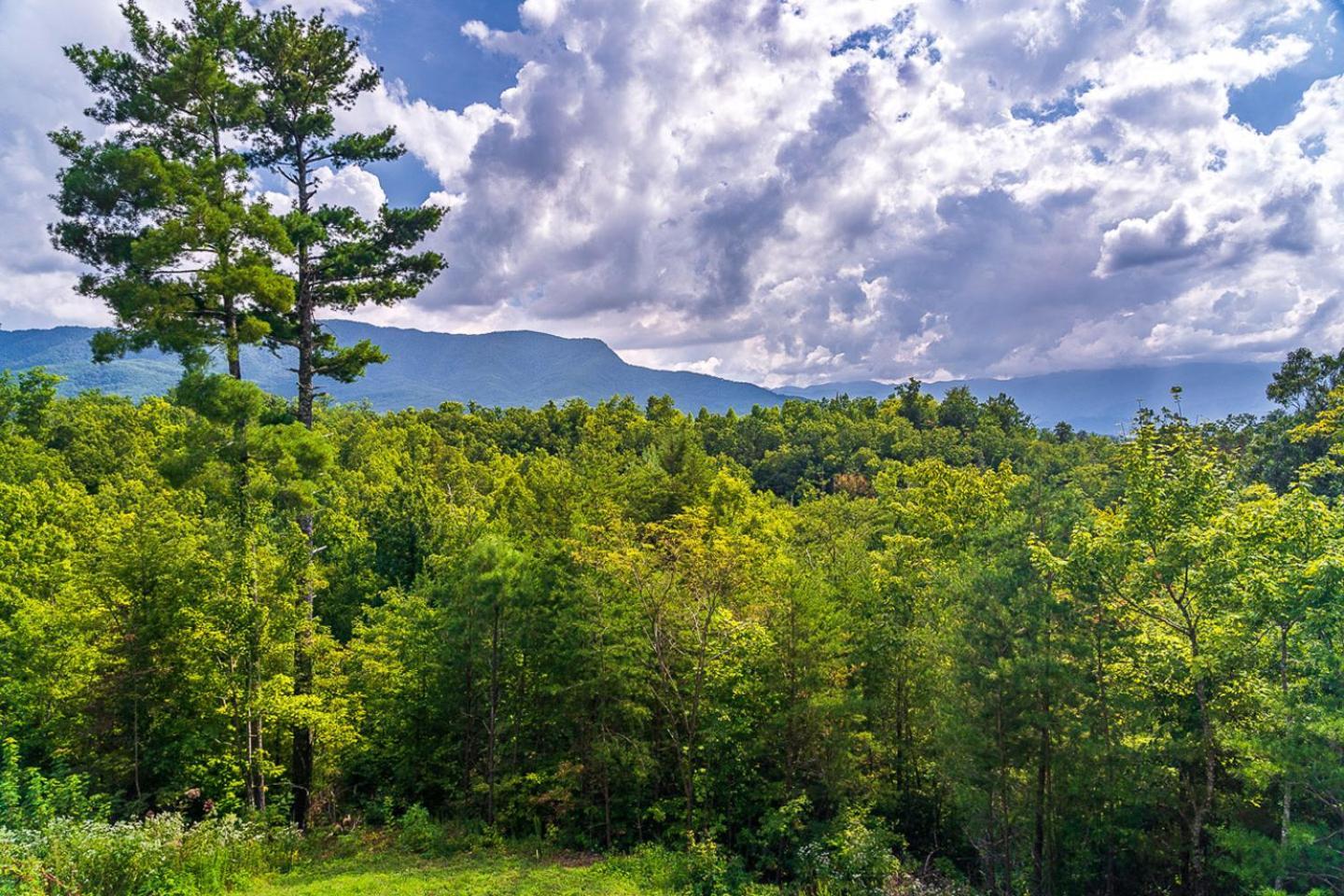 Big Bear Ridge Lodge - Breathtaking Mountain Views And Private Forest Scenes In Amazing Large Log Cabin Gatlinburg Extérieur photo