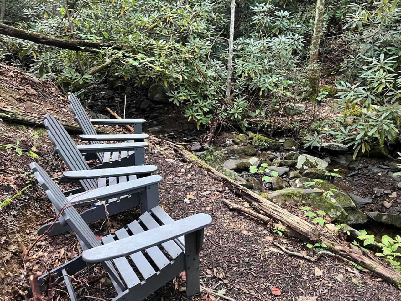 Big Bear Ridge Lodge - Breathtaking Mountain Views And Private Forest Scenes In Amazing Large Log Cabin Gatlinburg Extérieur photo